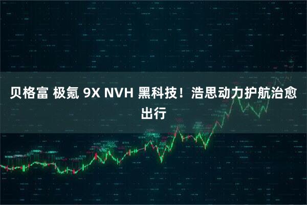 贝格富 极氪 9X NVH 黑科技！浩思动力护航治愈出行