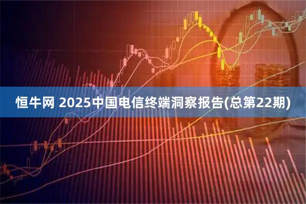 恒牛网 2025中国电信终端洞察报告(总第22期)